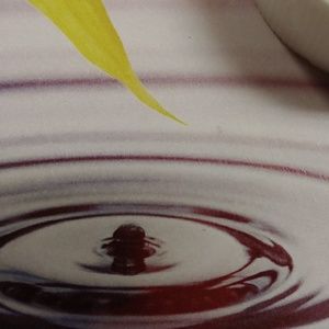 Meet your Posher, B. mia